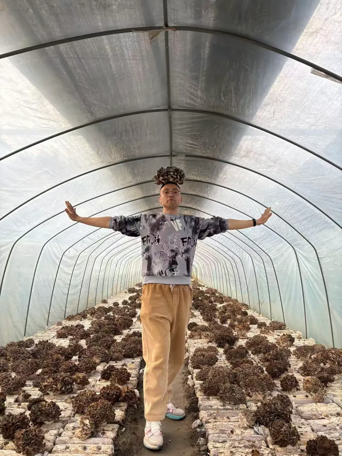 Yi — technolog grzybów funkcjonalnych Aloha Fungi, autor yilovesmushroom.com
